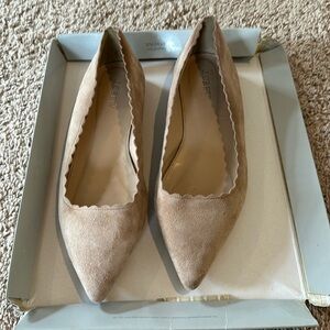 J.Crew pointy toed ballet flats.